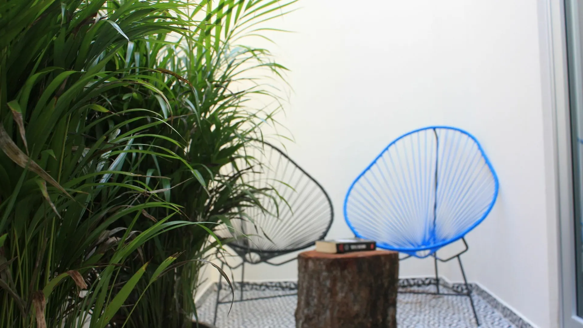 Mora Suites & Apartments By Kalma Playa del Carmen Mexico