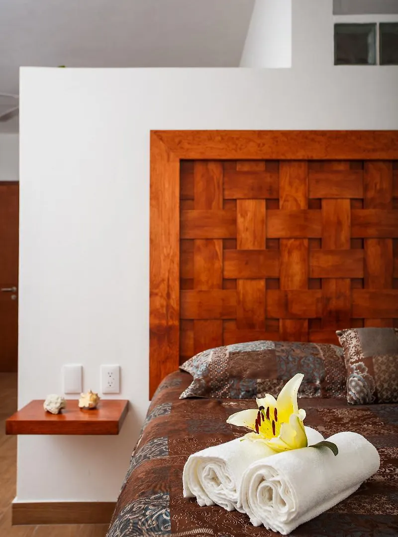 Mora Suites & Apartments By Kalma Playa del Carmen Mexico